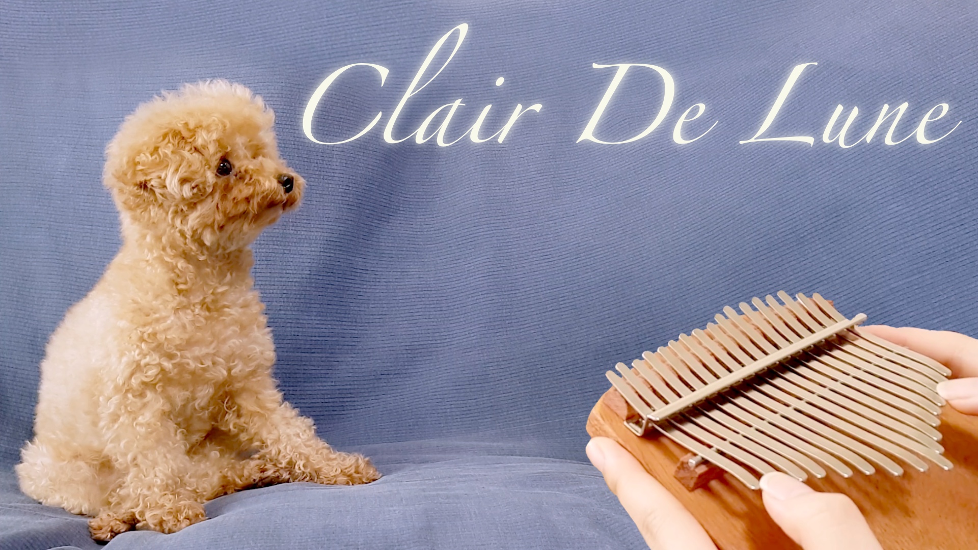Clair de Lune – Claude Debussy – Seeds 34-key kalimba cover – Eva